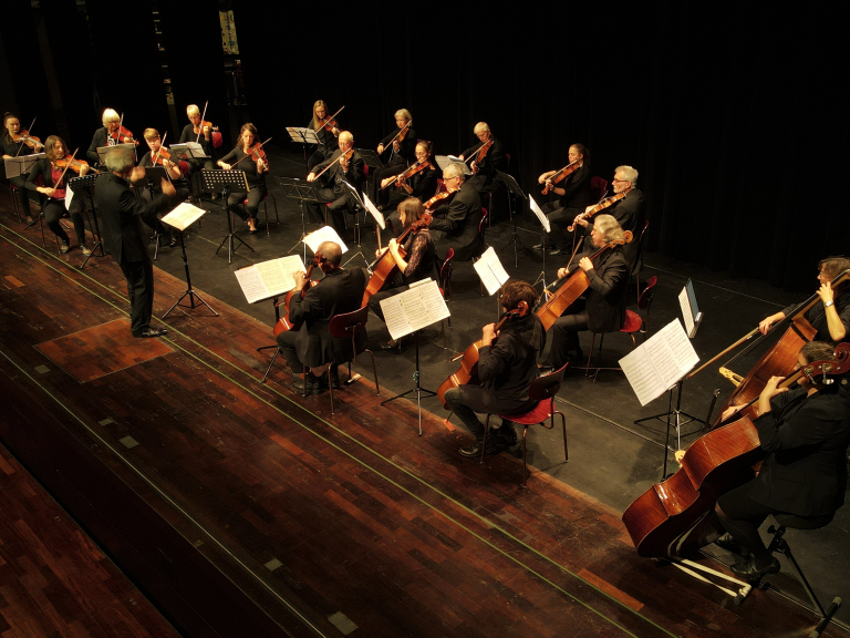 Foto des Orchesters bei eienm Auftritt