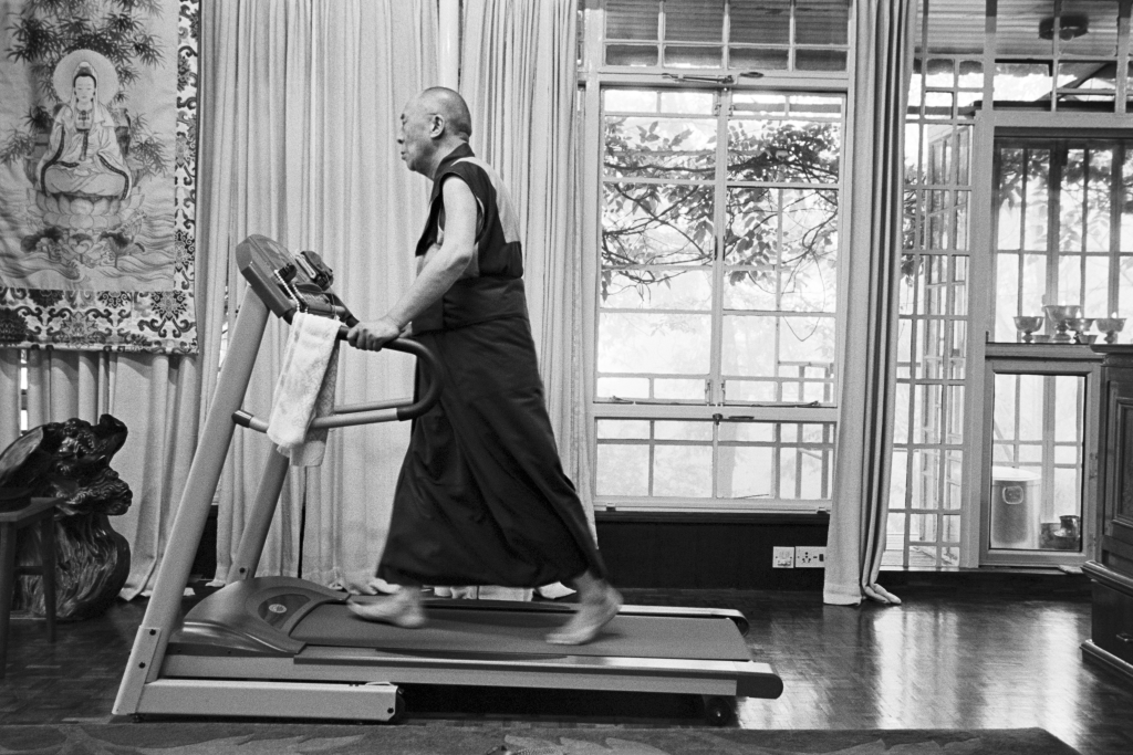 Der Weg des Dalai Lama