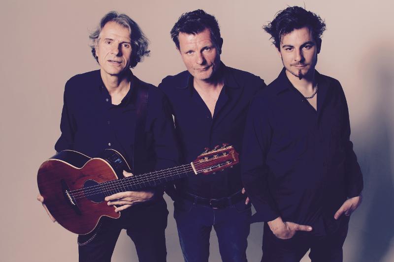 Bandfoto Dicke Fische