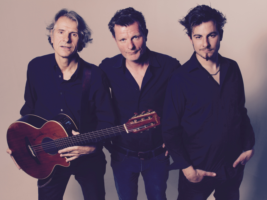 Bandfoto Dicke Fische
